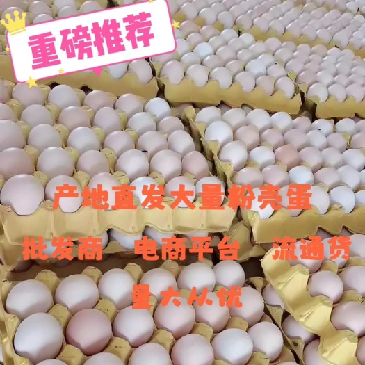 馆陶县产地直发新鲜粉壳黄心蛋，可批发可流通，量大从优！