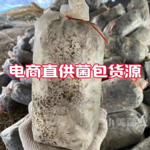 【出售】电商专用蘑菇种植包出菇菌包菌棒菌种各种大小型菌包