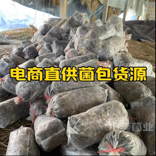 出售【电商专用】蘑菇种植包菌包菌棒菌种各类大小型菌包
