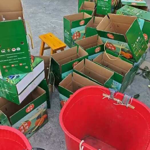 雷波县四川雷波优质脐橙 精品果 味甜糖分适中