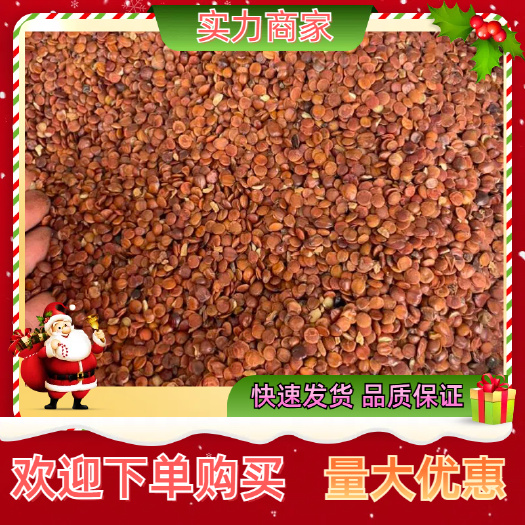 玉林枣仁 理枣仁 酸枣仁 大货供应 长期稳定供货诚信合作一手货源