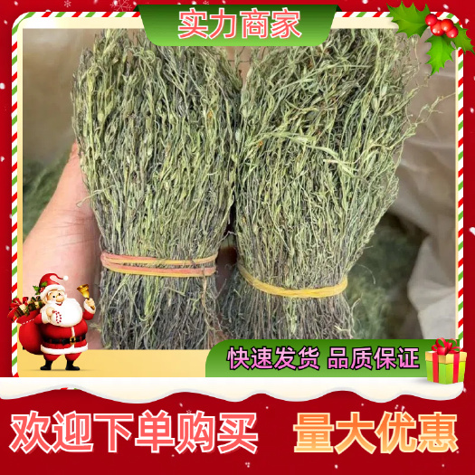 玉林独脚金8～15公分 短货 青绿一手货源