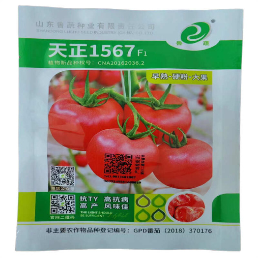 天正1567西红柿种子大果硬粉番茄种子抗TY1573托木尔耐