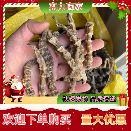 玉林地参、虫草参、云南地产一手货源批发