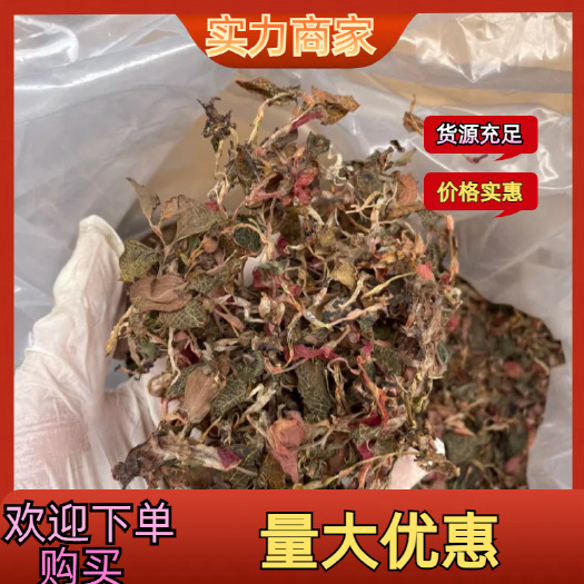 玉林防金线莲无碎无加根、干货小苗金线莲散装，产地直供