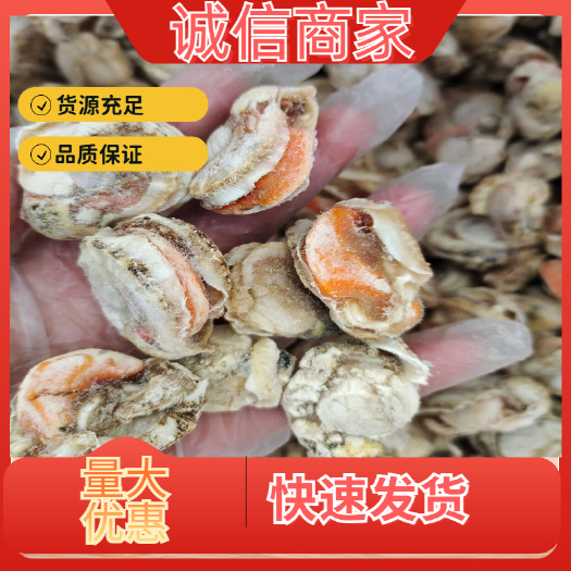 滨州干冰扇贝肉！大个头无沙无冰！8成带黄的！各种规格都有产地直发