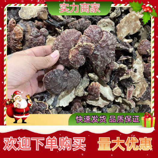 玉林深山赤灵芝苦灵芝红灵芝灵芝黑灵芝货苦