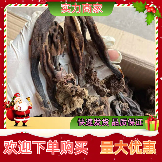 回春草新货 水洗干净 自然晒干产地直销 一手货源自量大议价