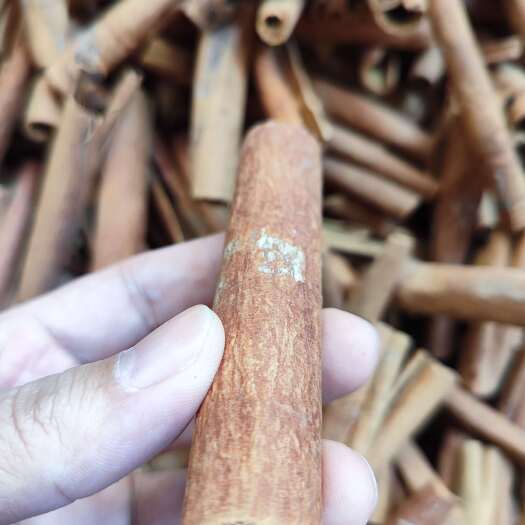 南宁【推荐】广西优质精品桂皮产地直发，超高性价比的精品桂皮