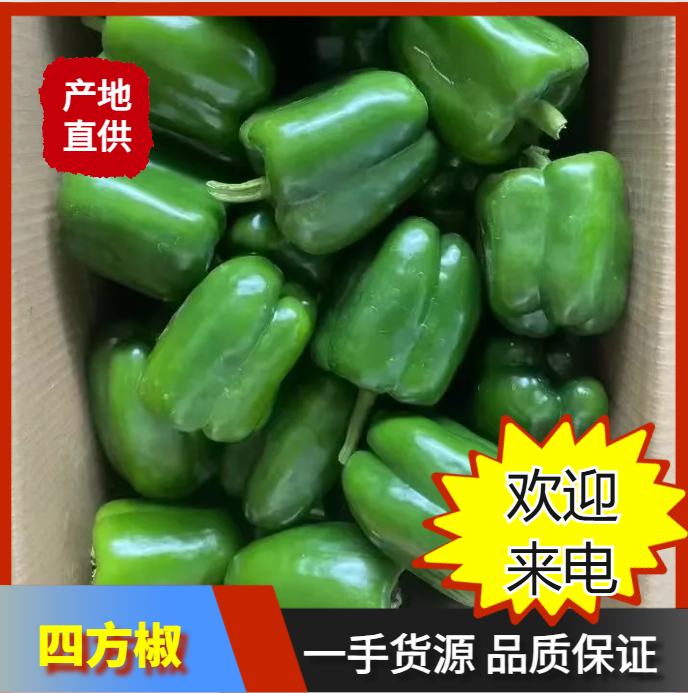 四方椒一手货源