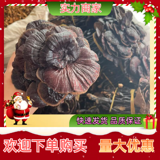 竹灵芝竹灵芝煮水煲汤产地直供质量保证诚信经营