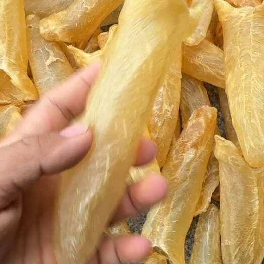 北海17头黄花胶 黄花筒 清水A货
