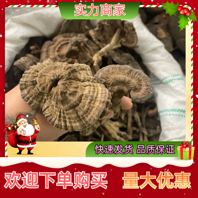 【包邮】新货香血灵芝黑肉灵芝黑灵芝质量保证