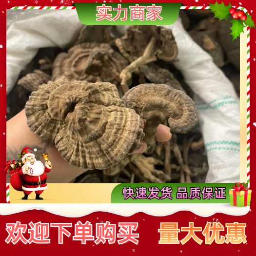 【包邮】新货香血灵芝黑肉灵芝黑灵芝质量保证
