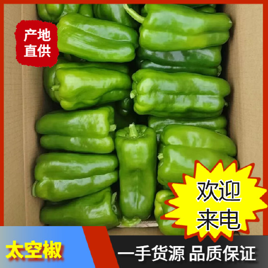 太空椒一手货源