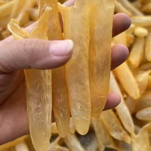 北海100头黄花胶 A货 黄花筒 好品质货 不添加