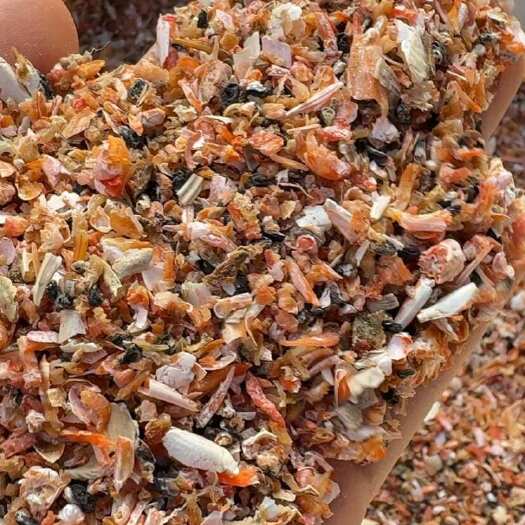 北海虾壳 虾眼 虾尾 虾碎肉 虾干边角料 汤包 调味提鲜