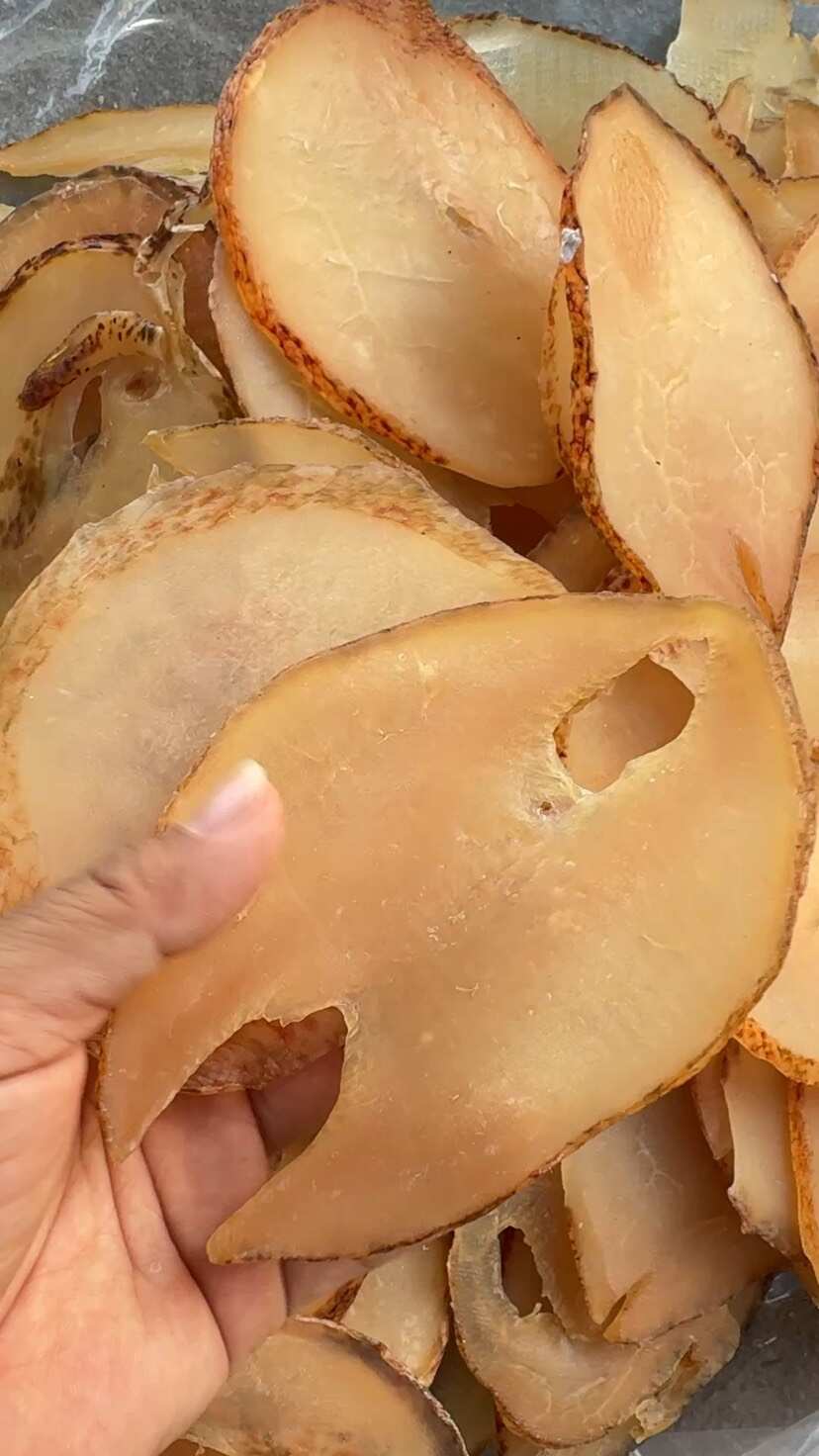 响螺片 单片 大号 A货 漂亮货