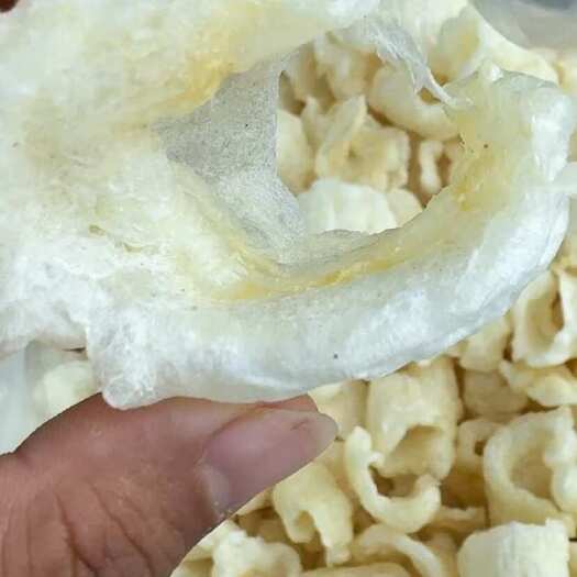 北海爆花胶鱼胶 小龙胶片 斗湖胶 鱼胶片