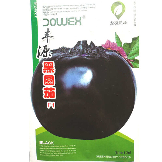 建瓯市丰源黑圆茄种子 早熟大果型 黑紫油亮 肉厚籽少籽小