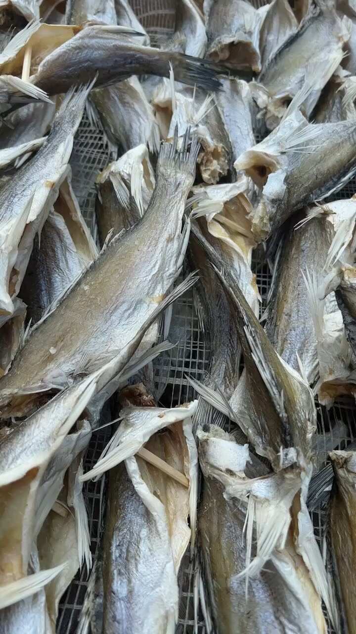 海鲈鱼干 地摊 电商 批发 无头海鲈鱼干 鱼干 干鱼 鲈鱼干