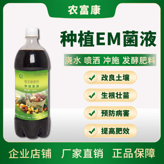 唐河县种植专用em原液益生菌菌液促生根防病农富康em菌液种植专用