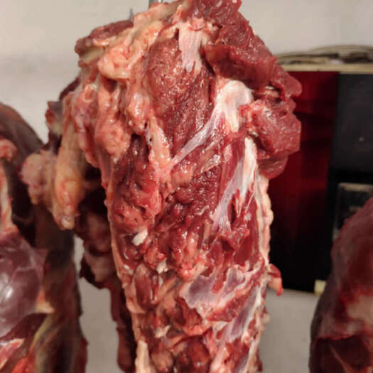 唐县生马肉  新鲜现宰马肉