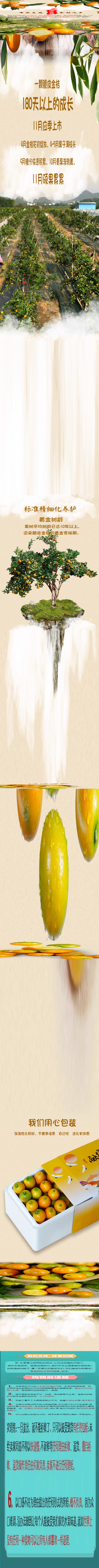 正宗融安第二代滑皮脆皮金桔纯甜不麻嘴带皮吃