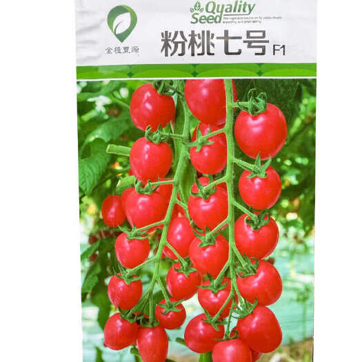粉桃七号樱桃番茄种子 无限生长 抗病抗TY病毒 粉红亮丽