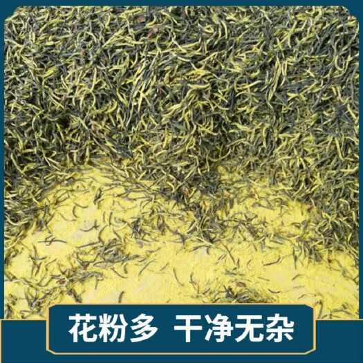 昆明杜仲雄花 杜仲雄花茶 一件代发 量大从优