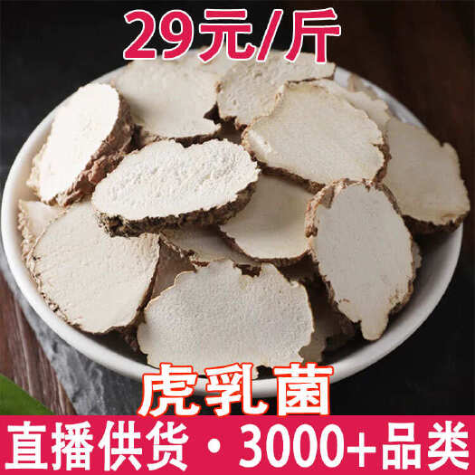 昆明虎乳菌 虎乳菇整个 虎奶灵芝 虎乳菌切片 一件代发