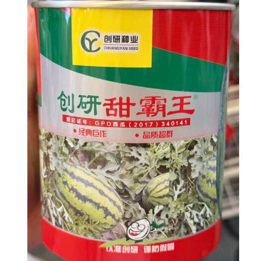 合肥创研甜霸王西瓜种子 抗病耐重茬 瓤色大红 瓜籽少耐小