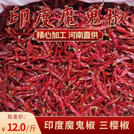 中牟县印度魔鬼椒 三樱椒 优质干辣椒 精挑细选 品质保障