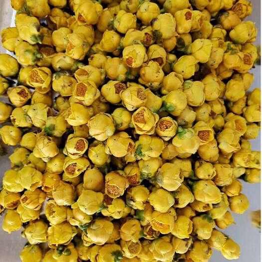 金花茶广西金花金花茶金花茶