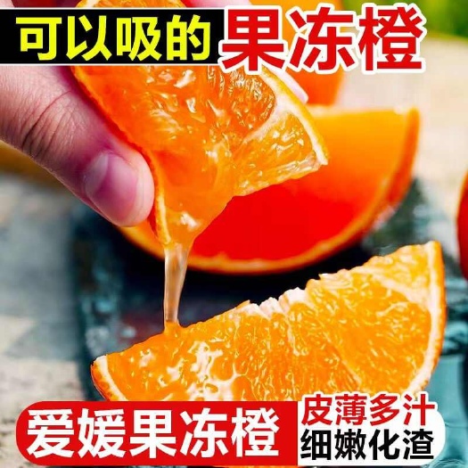 仁寿县爱媛橙品质优良  产地四川眉山 无籽甜爽 优质包装