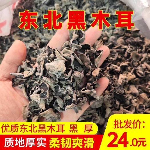 东北木耳 吉林头茬干黑木耳 泡发率12倍 散装批发