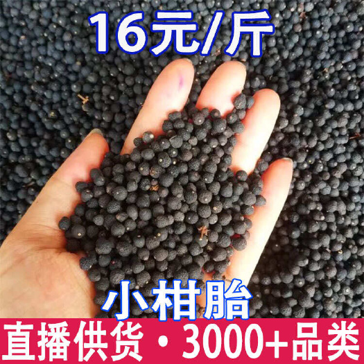 小柑胎 碰柑胎 自家生晒老树圈枝 一件代发