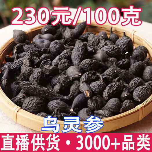 乌灵参 乌灵参批发 乾坤参 吊金钟 鸡枞胆 雷震子 现货代发