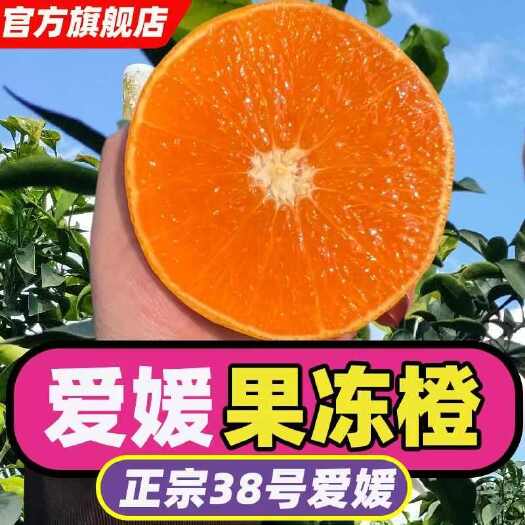 仁寿县爱媛果冻橙火红色来了  甜打脑壳，应季新鲜，为您挑选