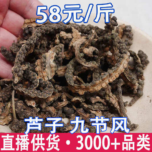 芦子 九节风 芦子藤 芦子疙瘩 一件代发