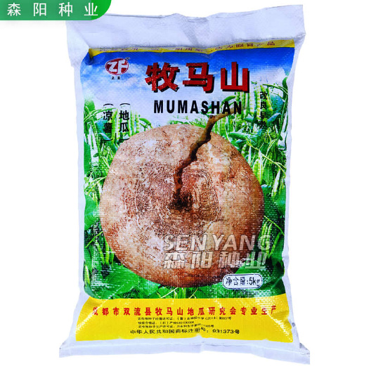 常德正富牧马山改良早熟地瓜种子川早一号双鑫108一点红杂交白花凉