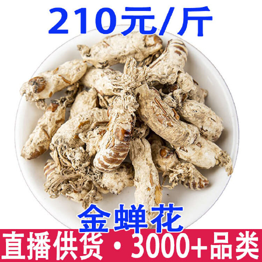 昆明正品金蝉花 精选 蝉花虫 草金婵花 金蚕花 知了 花禅花