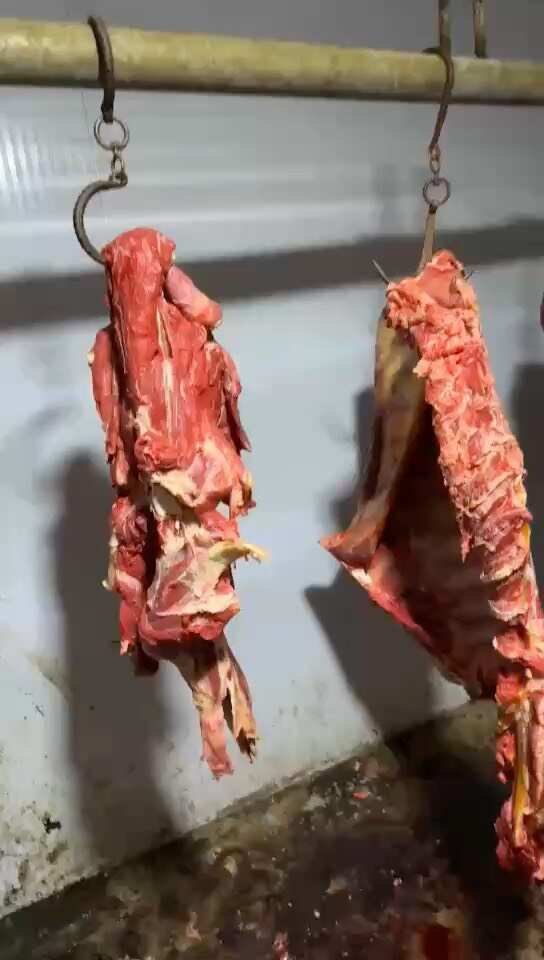 牛肋排多肉（带骨牛排）支持定制