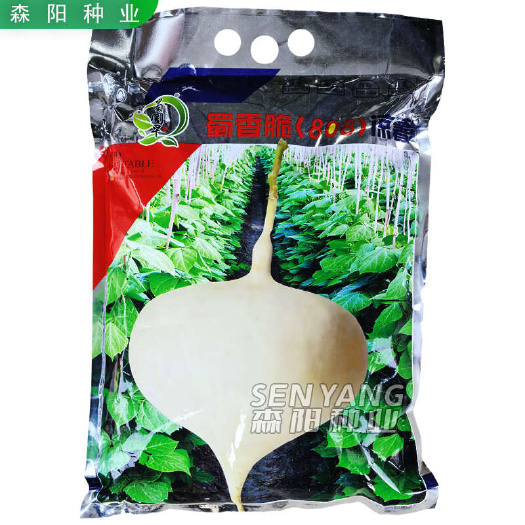 常德蜀圆早蜀香脆808凉薯种子特早熟小叶细藤川早一号甜脆水果地