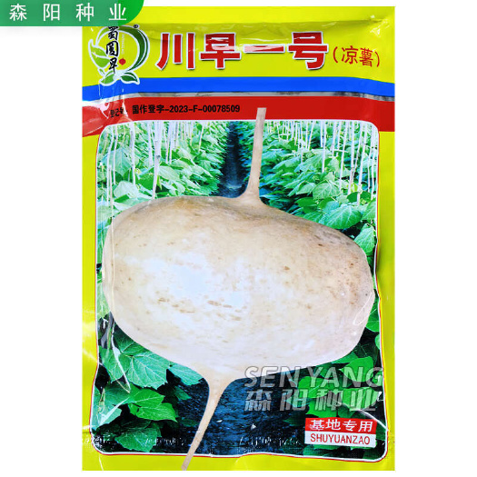 常德川早一号凉薯种子特早熟杂交水果凉薯小叶细藤牧马山地瓜双鑫10
