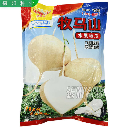 金丰园牧马山水果地瓜小叶细藤香脆甜早熟杂交一点红凉薯川早一号