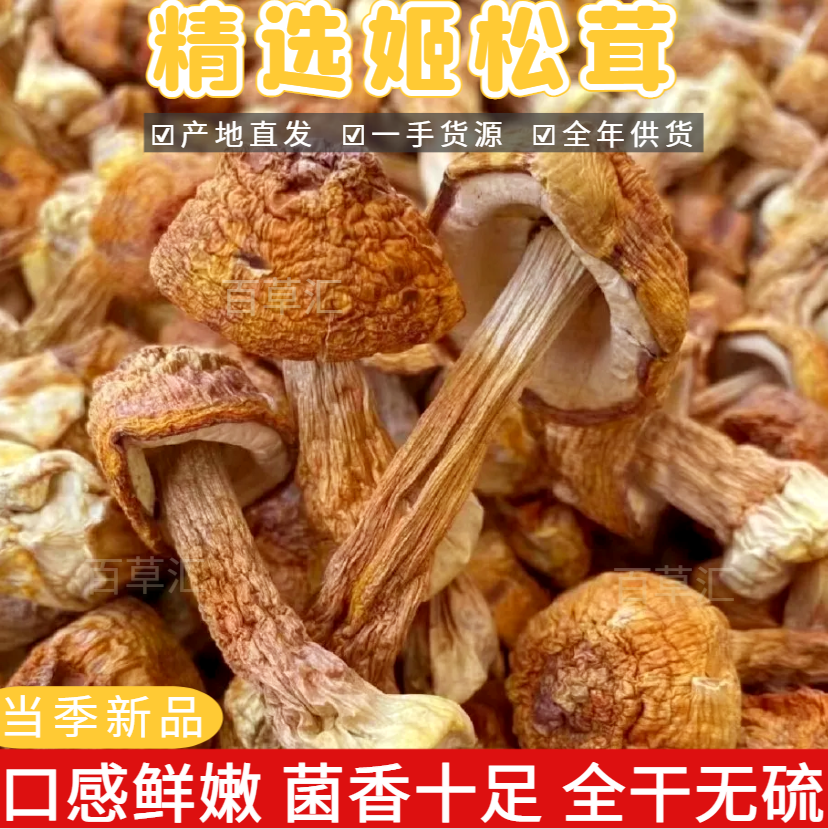 精選云南姬松茸干貨云南特產(chǎn) 菇類干野生姫松茸菌