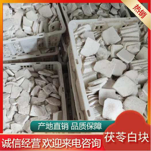 靖州县无硫茯苓 茯苓白块 产地直销 一手货源
