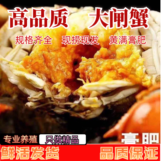 洪湖市大闸蟹  优良水质   湖区塘区养殖