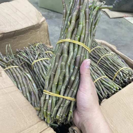 海丰县石斛新鲜条自产自销赤石铁皮石斛煲汤榨